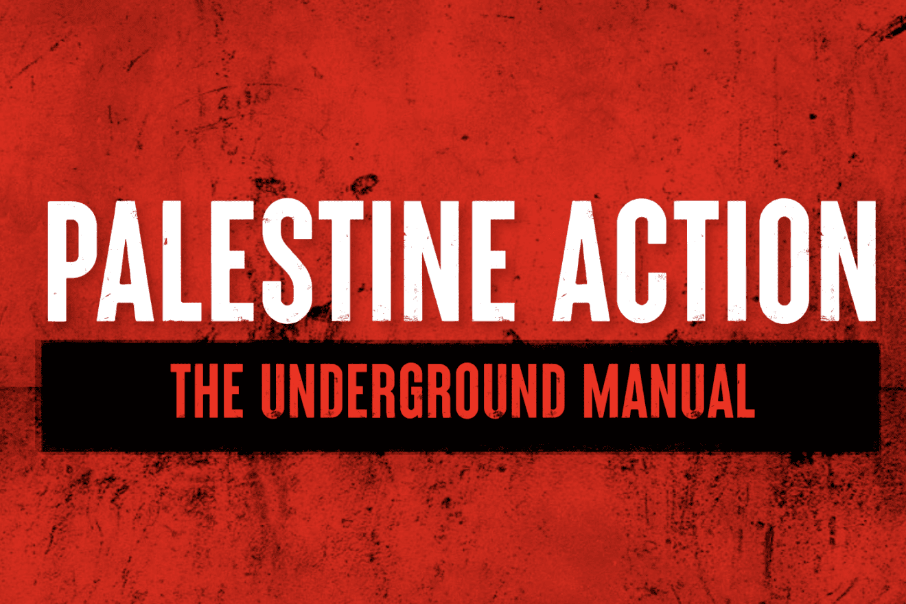 “Palestine Action: The Underground Manual.” Source: Screenshot.